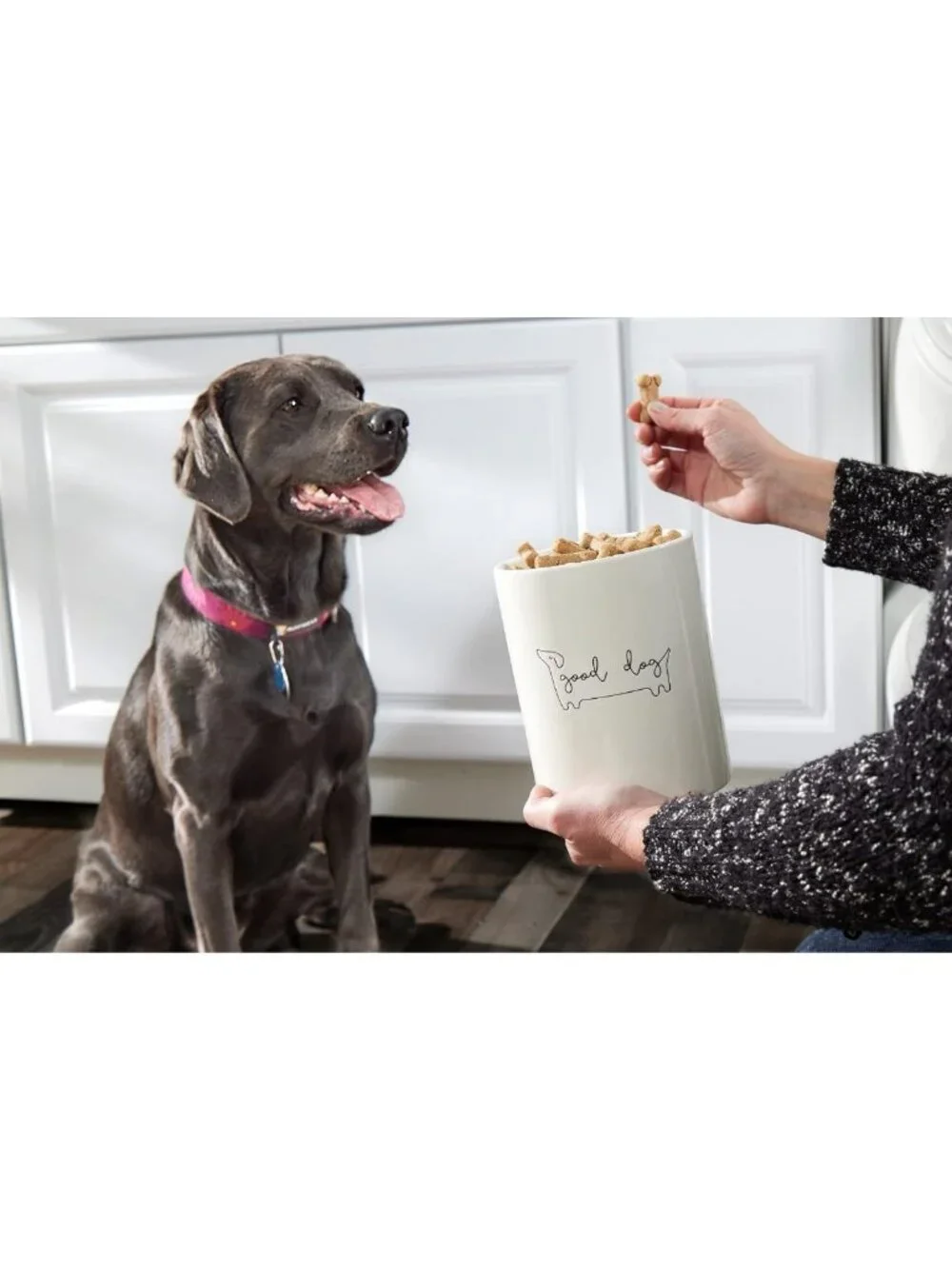 Stylish Ceramic Dog Treat Jar with Airtight Wooden Lid - Perfect Pet Storage